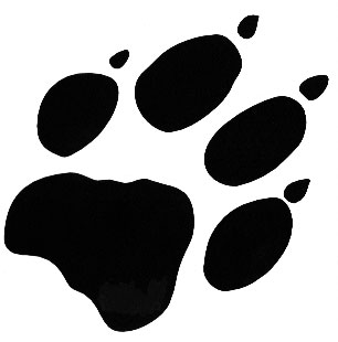 wolf_paw-1.jpg